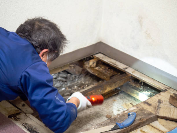 Mold Testing and Removal in Mechanicville, NY