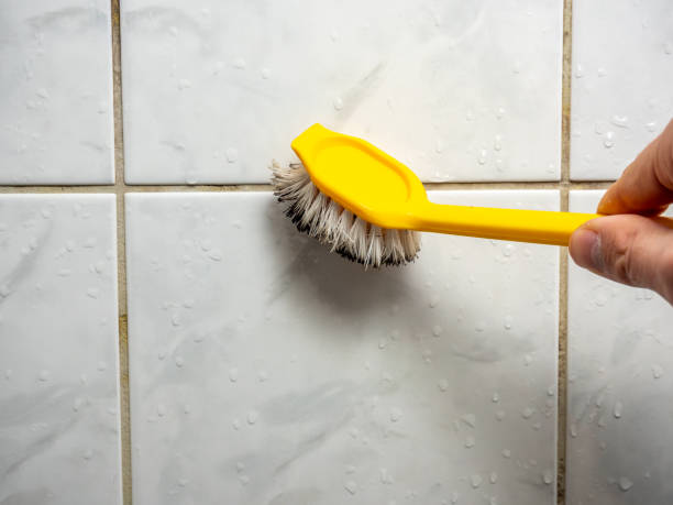 Best Fast Mold Removal  in Mechanicville, NY