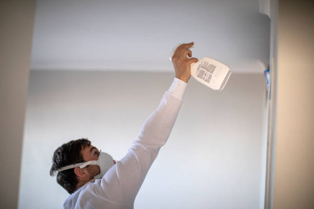 Best Mold Remediation  in Mechanicville, NY